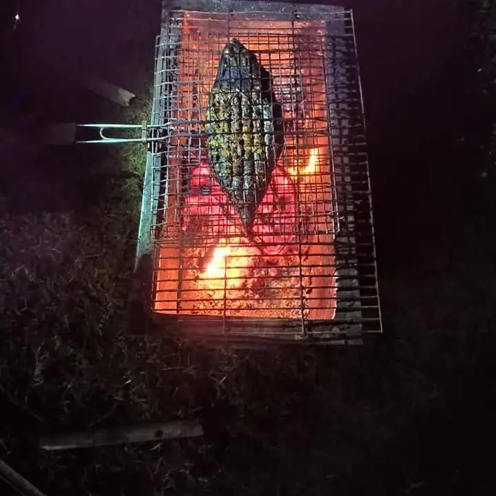 Whole fish grilling over glowing charcoal
