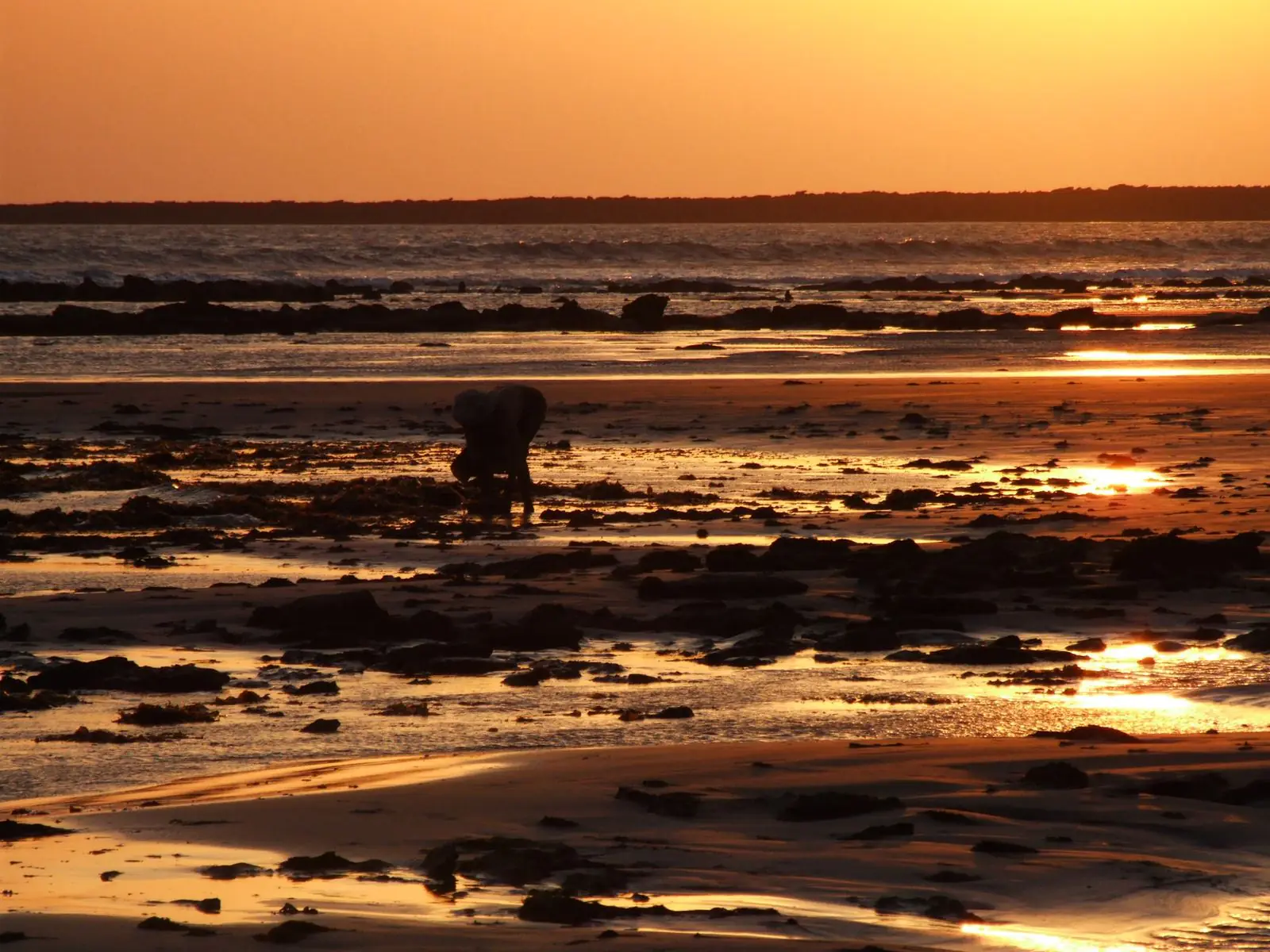 Sunset over wet rocks and pools at low tide, Saint Martin's Island
