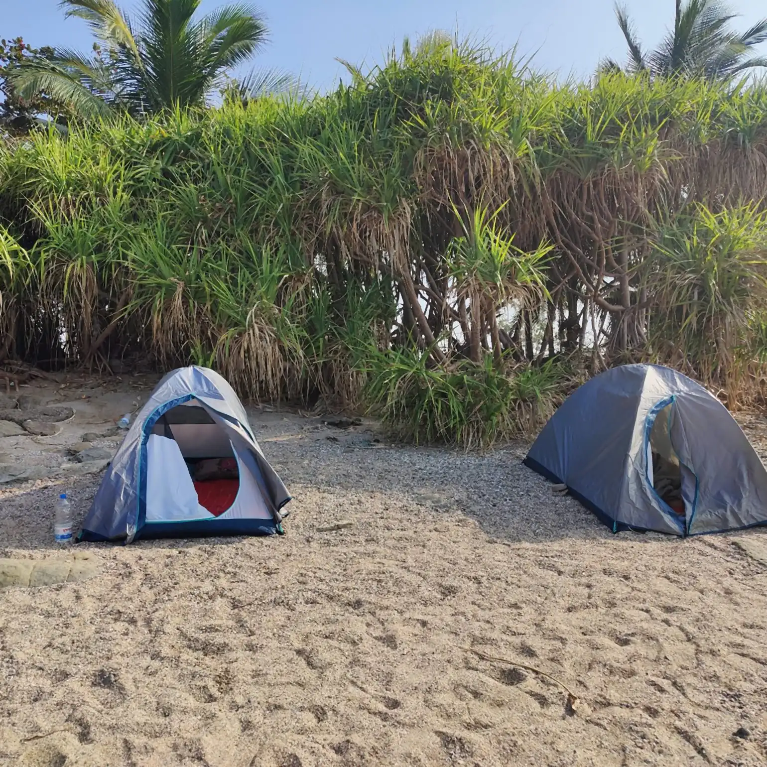 Two tents pitched on the sand beside beach shrubs